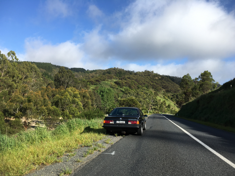 Illustration for article titled BMW 635CSi. Adelaide Hills. Springtime. Goodtime.